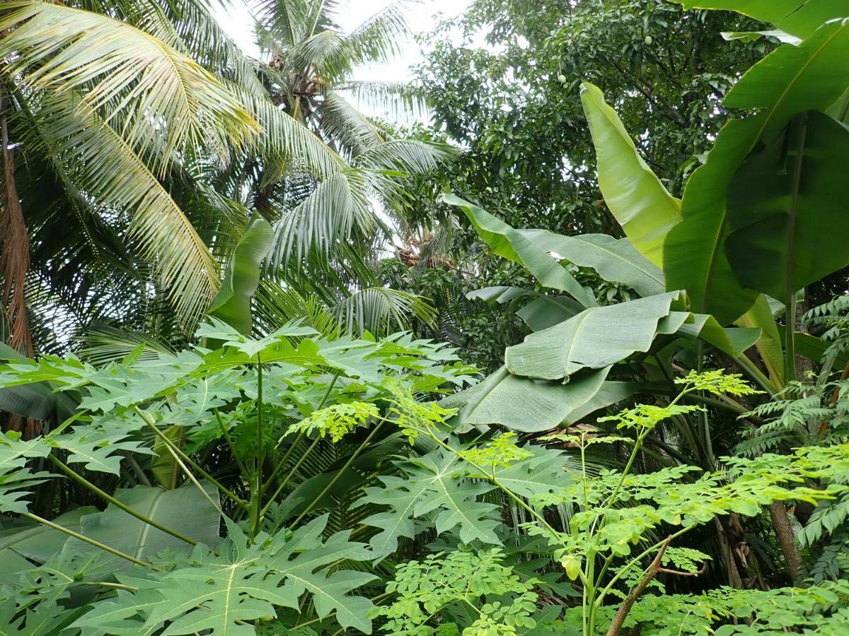 Fuvahmulah Inn Buitenkant foto