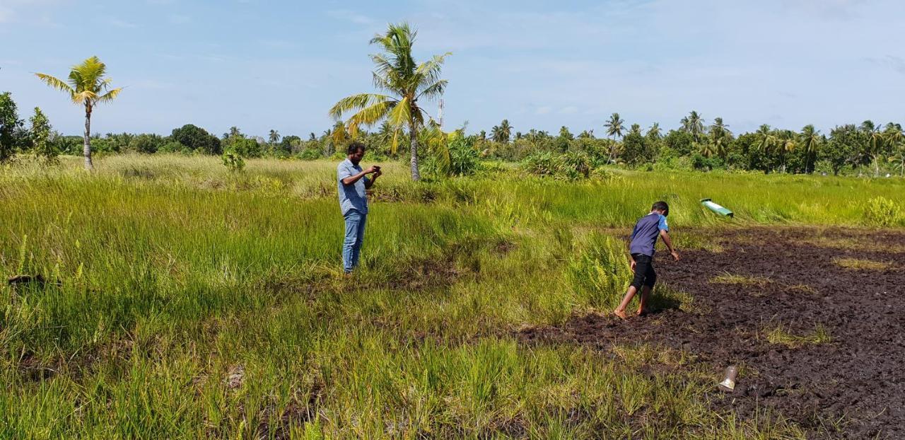 Fuvahmulah Inn Buitenkant foto